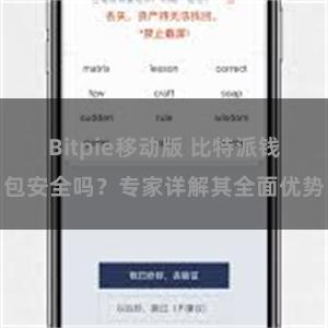 Bitpie移动版 比特派钱包安全吗？专家详解其全面优势