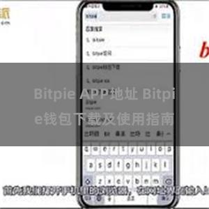 Bitpie APP地址 Bitpie钱包下载及使用指南