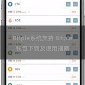 Bitpie系统支持 Bitpie钱包下载及使用指南