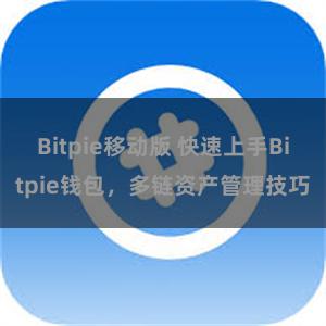 Bitpie移动版 快速上手Bitpie钱包，多链资产管理技