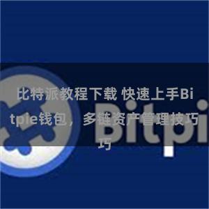 比特派教程下载 快速上手Bitpie钱包，多链资产管理技巧