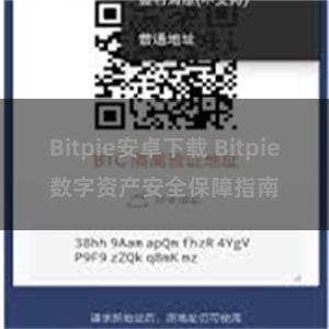 Bitpie安卓下载 Bitpie数字资产安全保障指南