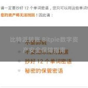 比特派转账 Bitpie数字资产安全保障指南