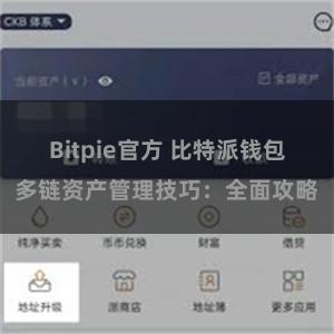 Bitpie官方 比特派钱包多链资产管理技巧：全面攻略