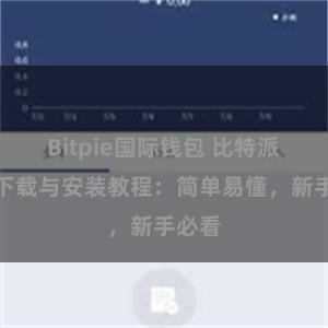 Bitpie国际钱包 比特派钱包下载与安装教程：简单易懂，新手必看