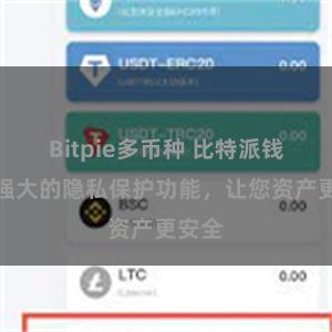Bitpie多币种 比特派钱包：强大的隐私保护功能，让您资产更安全