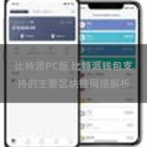 比特派PC版 比特派钱包支持的主要区块链网络解析