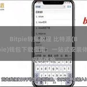 Bitpie转账教程 比特派(Bitpie)钱包下载指南：一站式安装体验