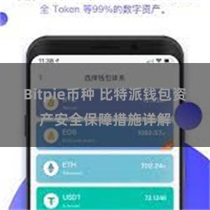 Bitpie币种 比特派钱包资产安全保障措施详解