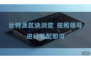 比特派区块浏览  按照领导进行装配即可