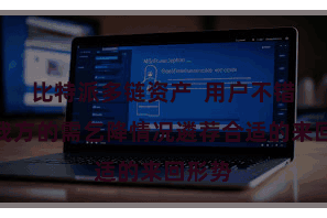 比特派多链资产  用户不错凭据我方的需乞降情况遴荐合适的来回形势