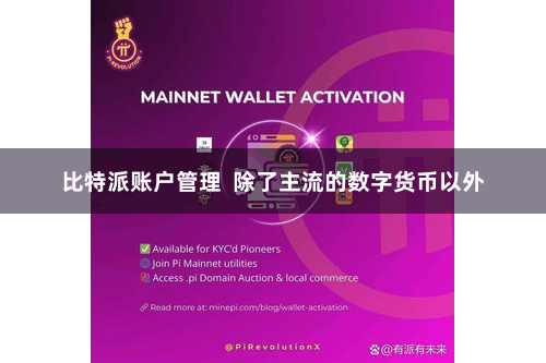 比特派账户管理  除了主流的数字货币以外