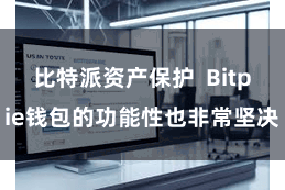 比特派资产保护  Bitpie钱包的功能性也非常坚决